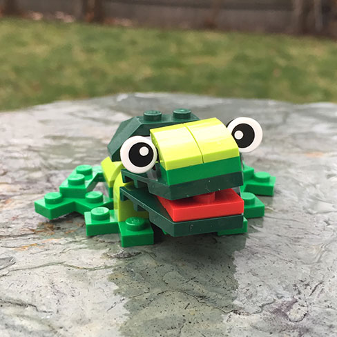 a green LEGO frog with googlie eyes.