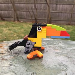 CAMP DAYS • DEC 23RD