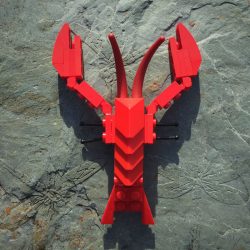 CAMP DAYS • DEC 29TH