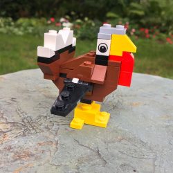 CAMP DAYS • DEC 24TH