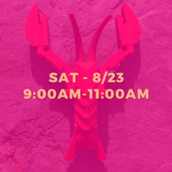 LEGO ANIMALS • AUGUST 23RD • 9:00AM-11:00AM