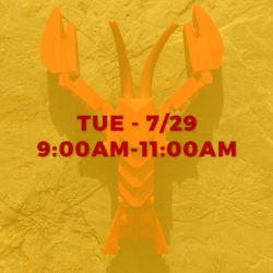 LEGO ANIMALS • JULY 29TH • 9:00AM-11:00AM
