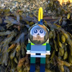 Lego Coast Guard Adventure! (Studio)